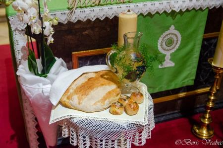 Utrinki z Martinovega sejma in blagoslova vina 8